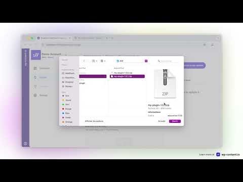 wp-content.io gallery image