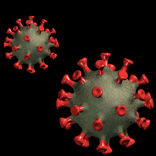 Stupid Pandemic