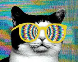 GIF Spinner