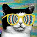 GIF Spinner