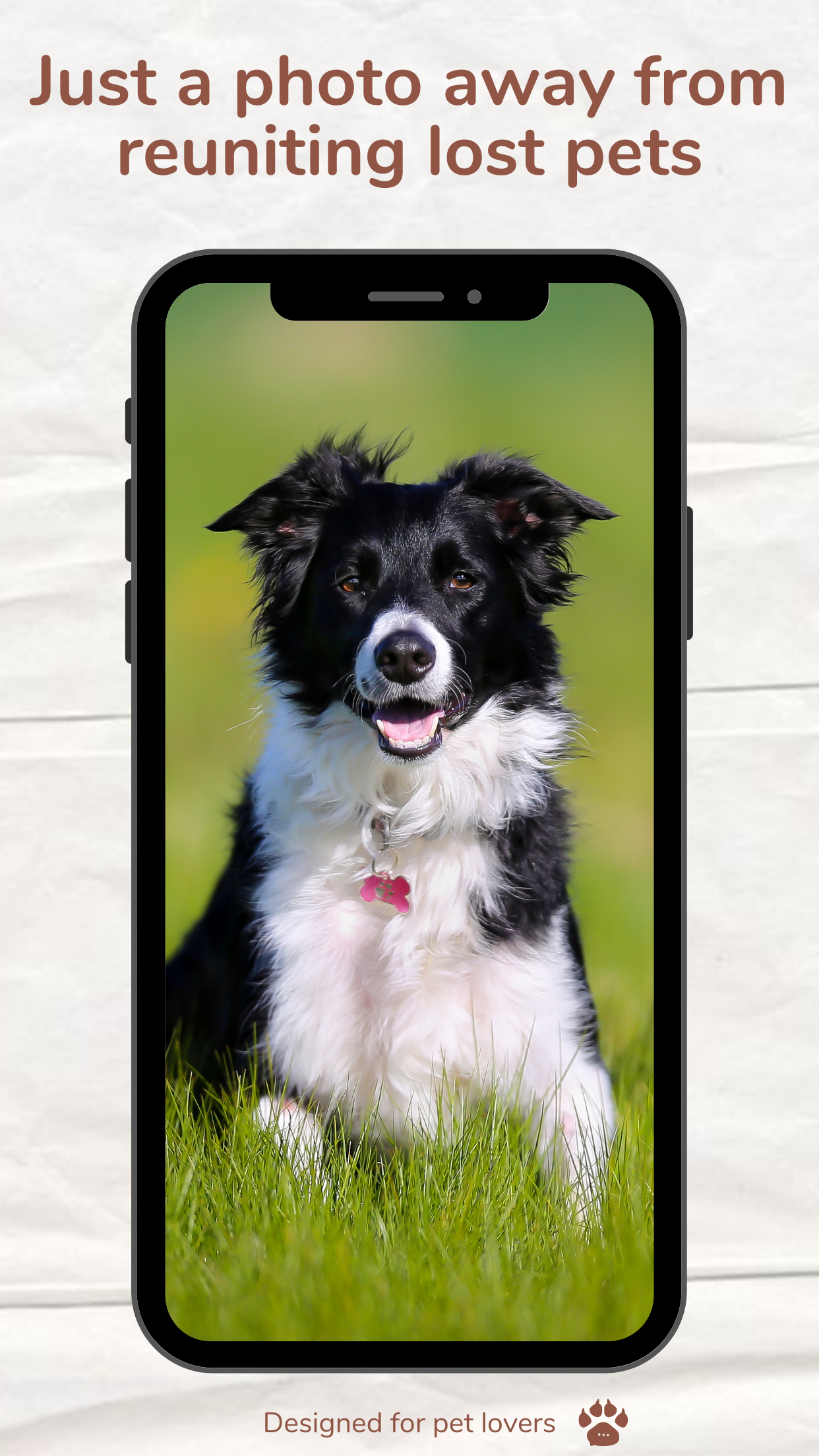 Findpet gallery image