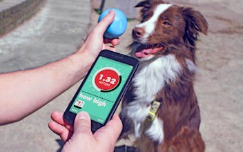 Bringy gallery image