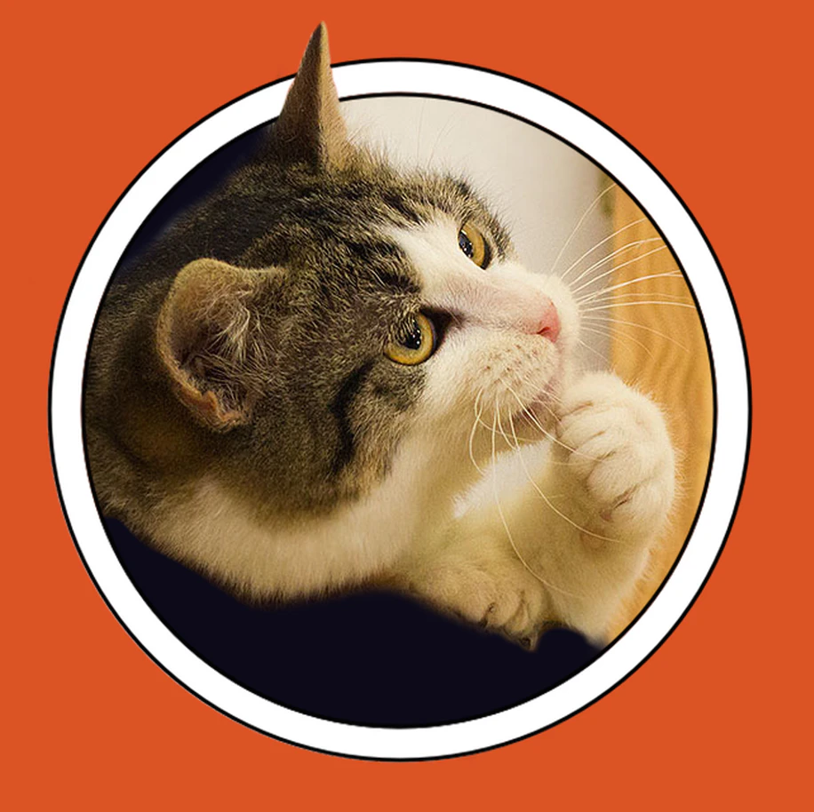 Product Thoughts - Murat Mutlu from Marvel