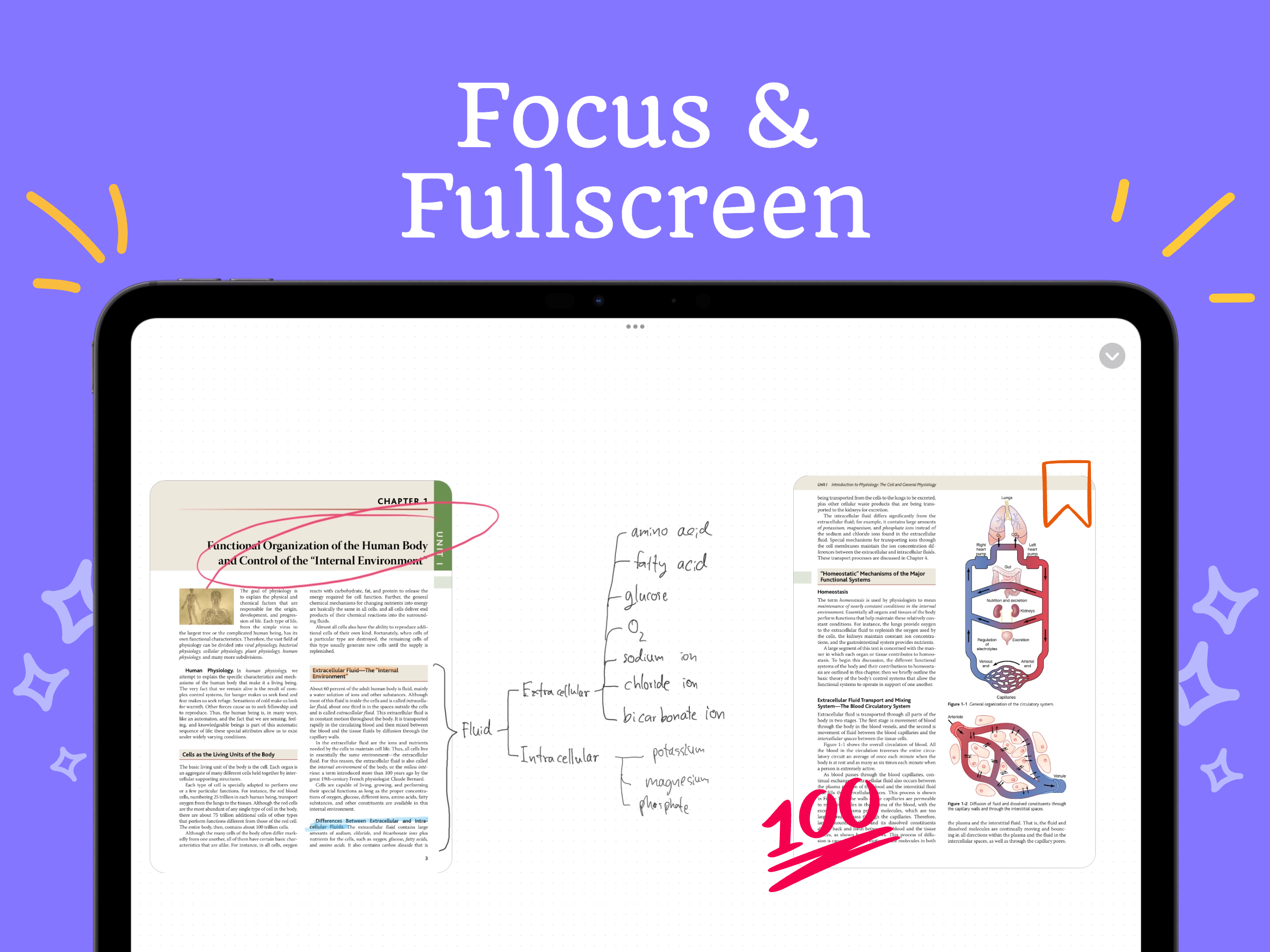 Media Penuh - Kanvas tak terhingga untuk dokumen pdf, annotate pdf & imej secara visual 6