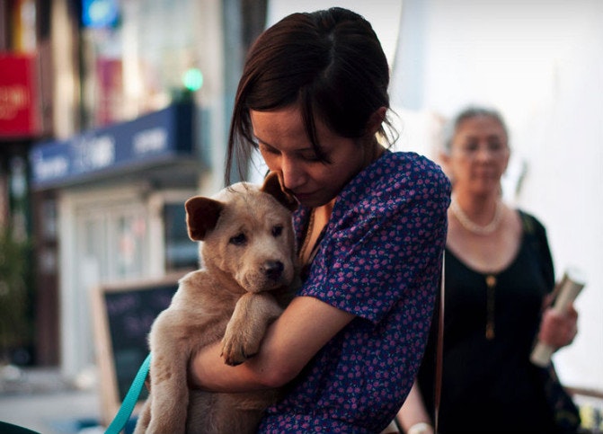 BarkBuddy gallery image