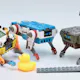 Petoi Quaddle:A Do-It-All Mini Robot Dog