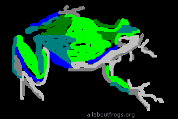 All About Frogs Jobs & Careers Product Hunt