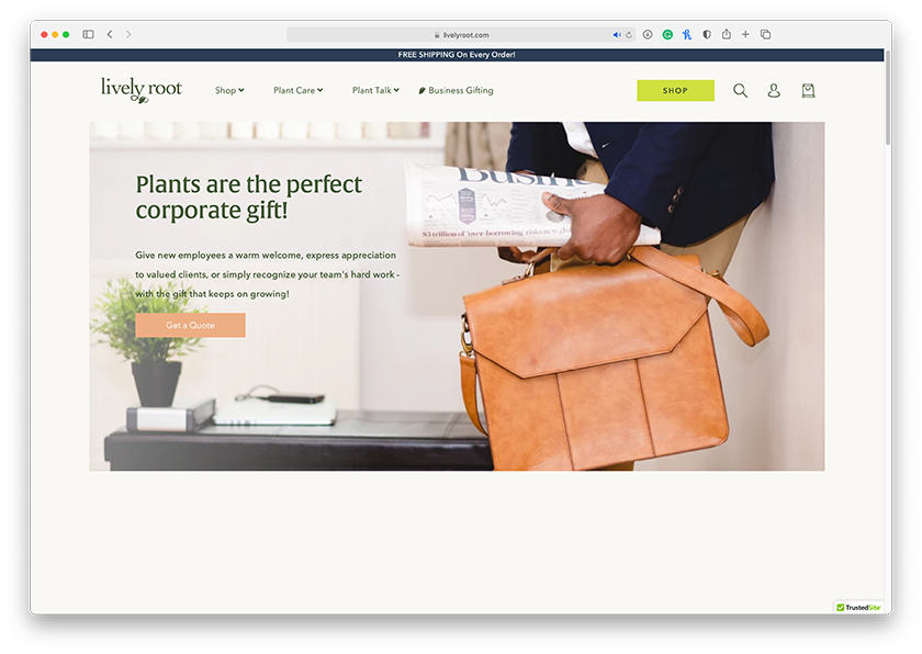 Lively Root gallery image