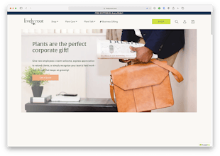 Lively Root gallery image