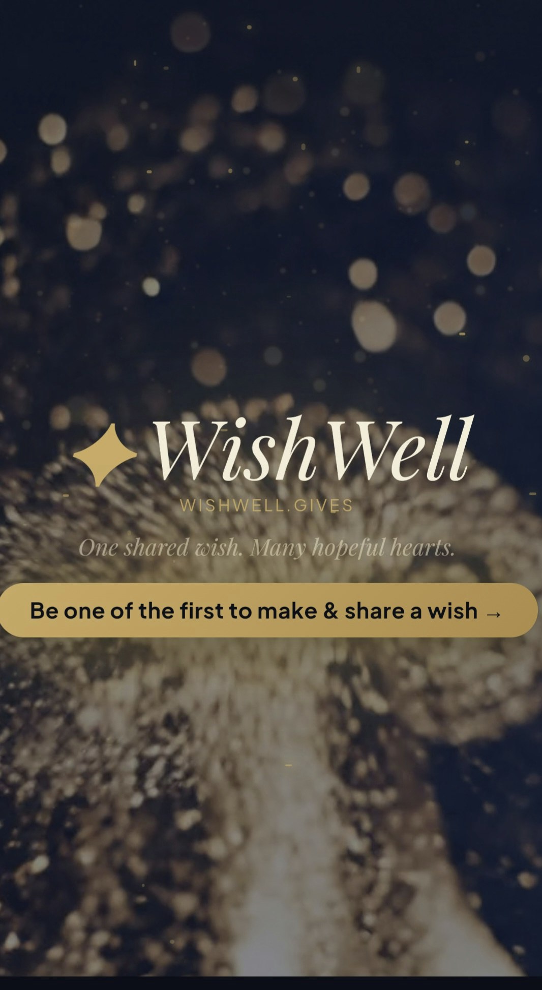 Wishwell media 5