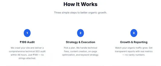 $2 SEO Audit gallery image