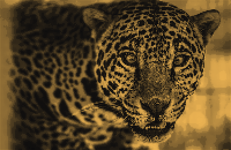 ASCIIfy gallery image