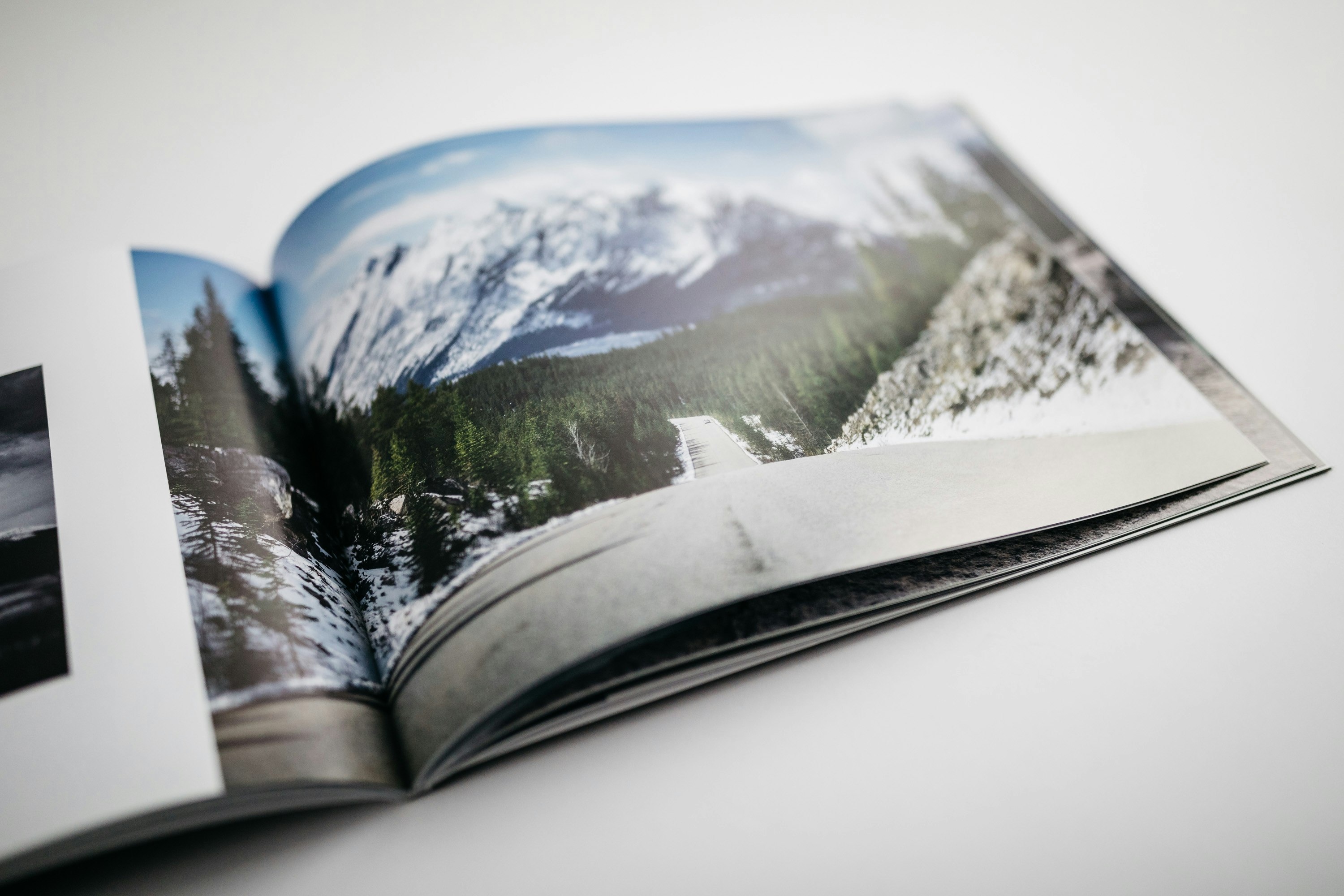 The Canadian Rockies gallery image