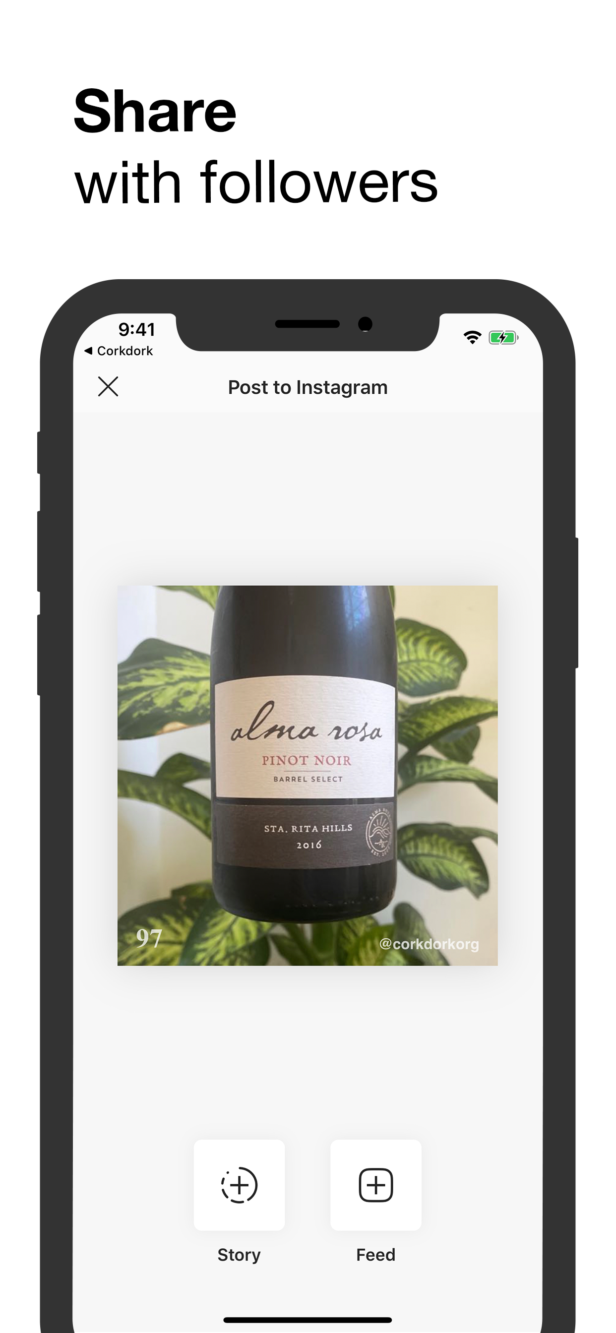 Corkdork gallery image