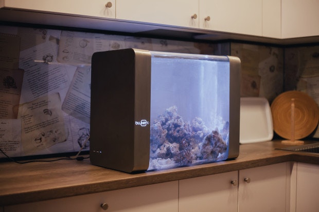 Bluenero gallery image