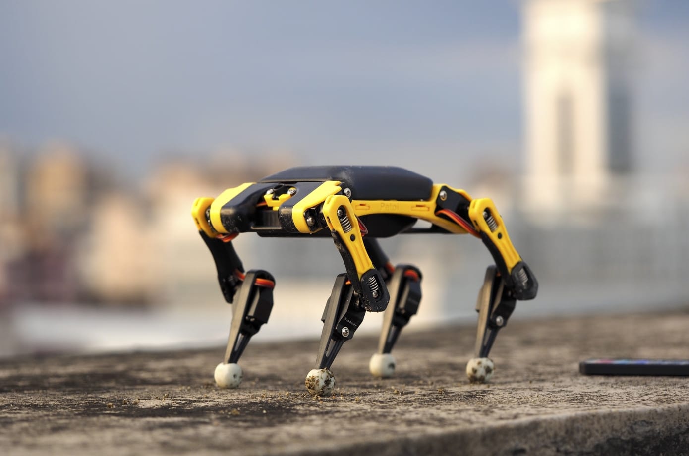 Bittle gallery image