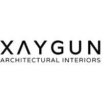  Xaygun