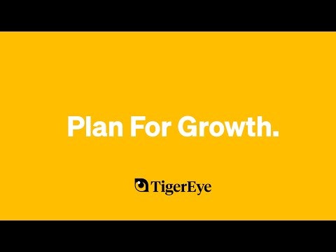 TigerEye gallery image