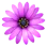 TextMate 2.0