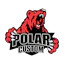Polar Custom
