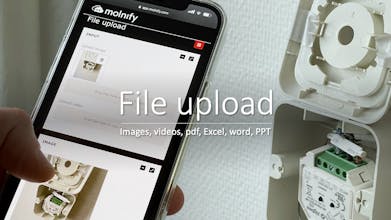 Molnify gallery image