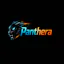 PantheraHive