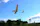 Albatross UAV