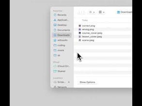 UneeBee gallery image