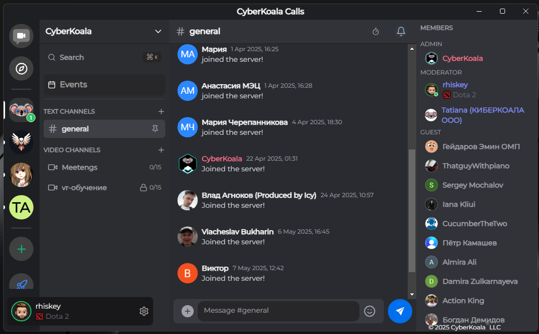 CyberKoala Calls gallery image