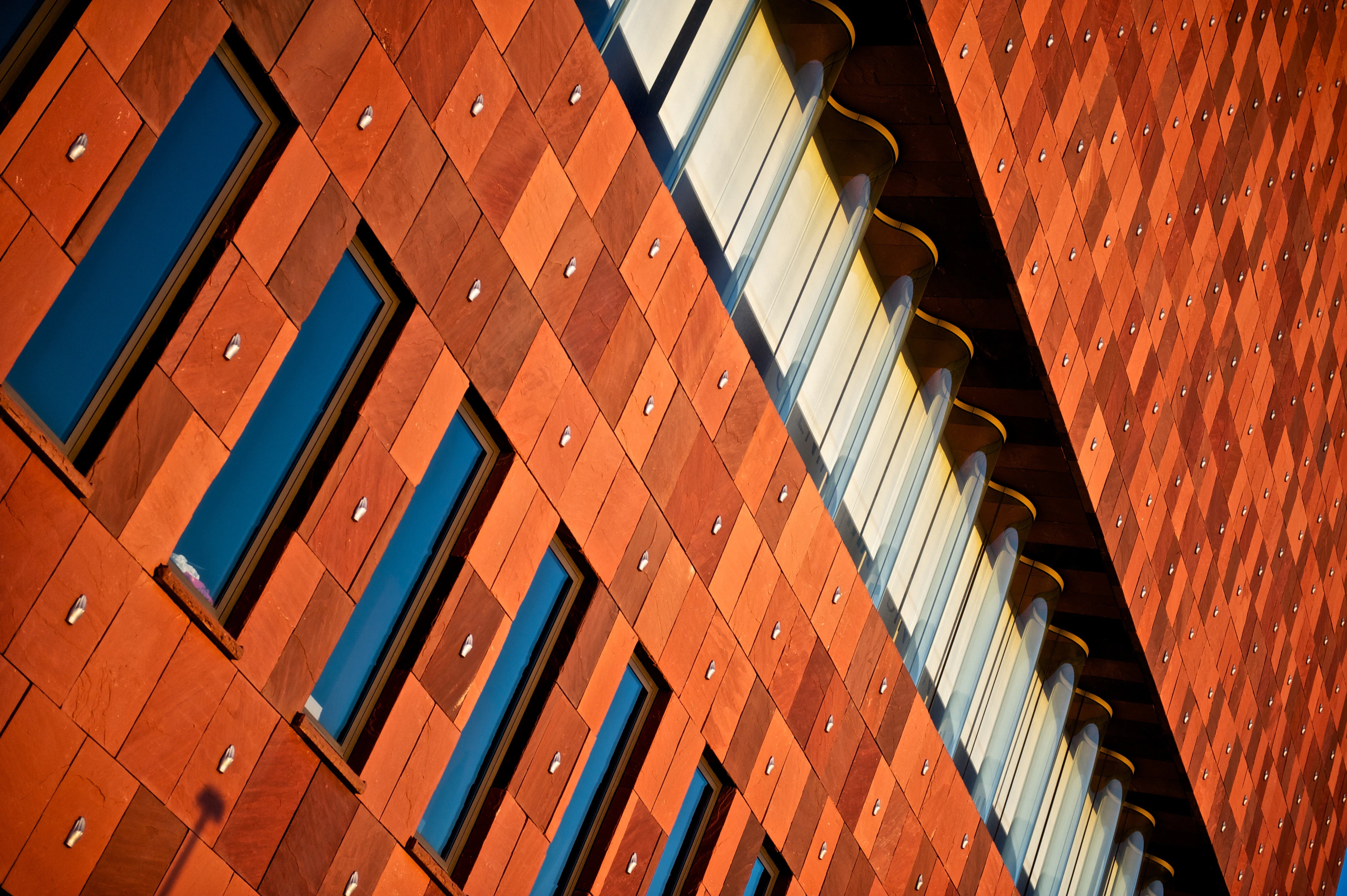 Thomas Verschoren cover