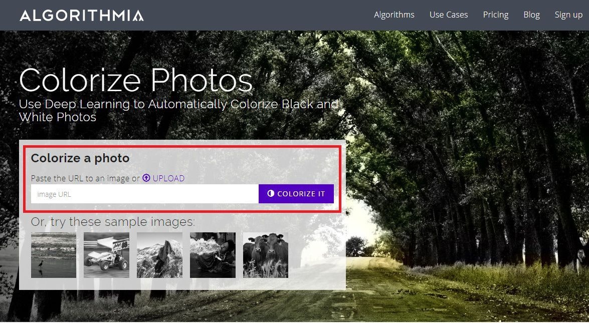 How to Colorize Black & White Photo gallery image