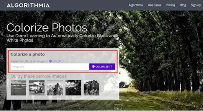 How to Colorize Black & White Photo gallery image