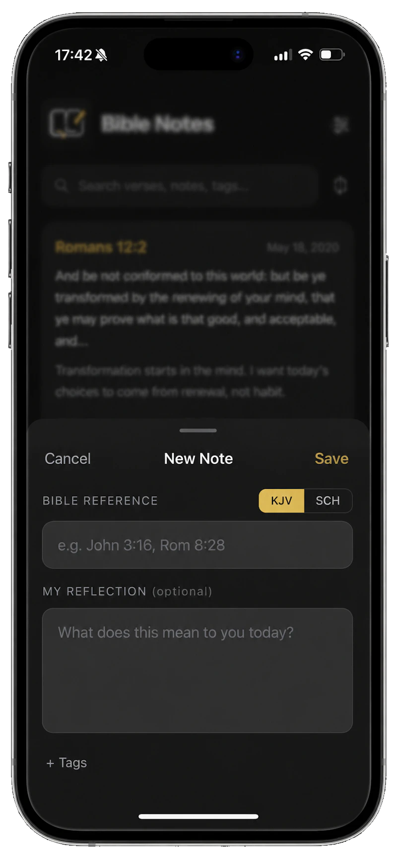 Bible Notes screenshot 3