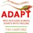 Adapt: Why Success Always Starts With Failure