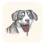 Bark Tracker