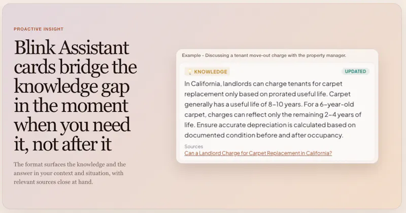 MeetBlink screenshot 2