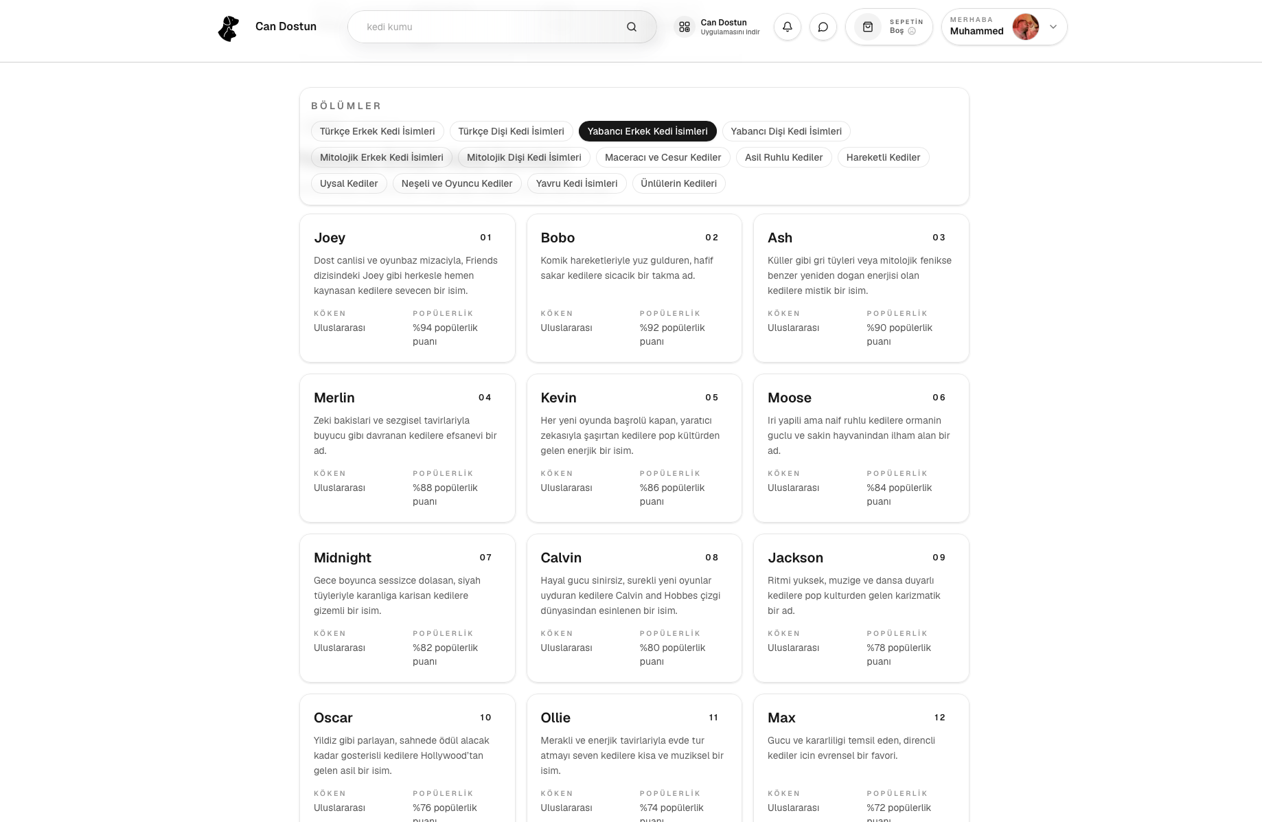 Can Dostun gallery image