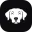 Goodboy