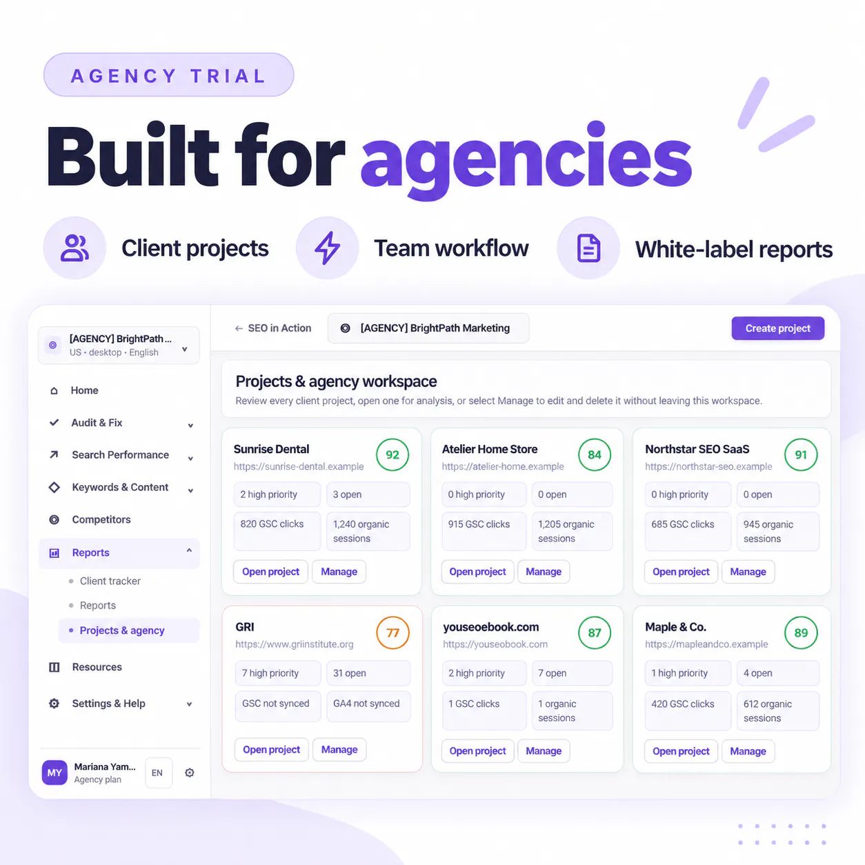 ActionSEO Audit & Report Tool gallery image