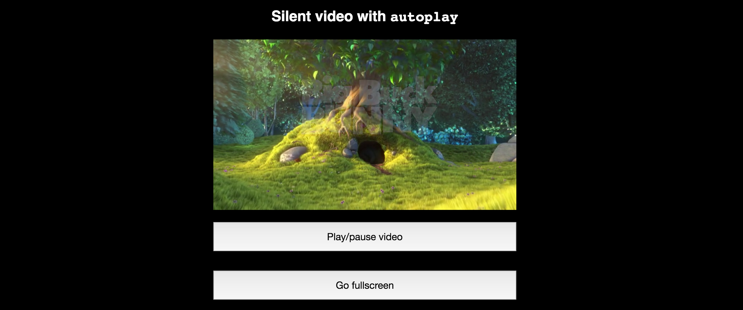iPhone inline video gallery image