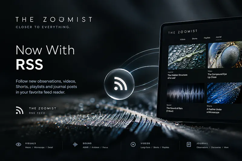 The Zoomist - Now With RSS screenshot 1