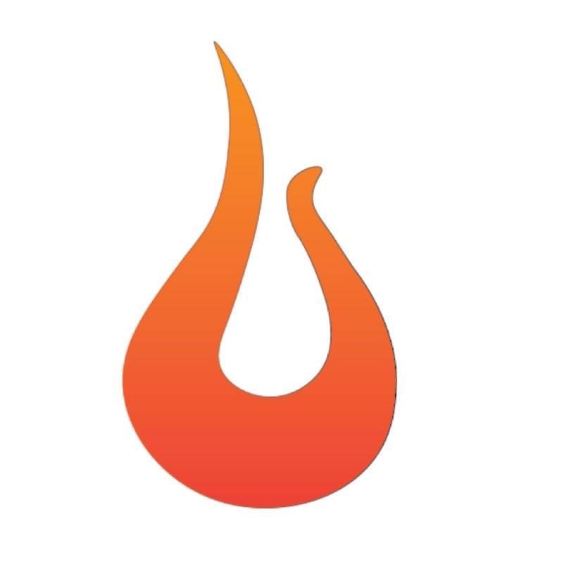 Unlimited Wordpress Web & Brand Design 