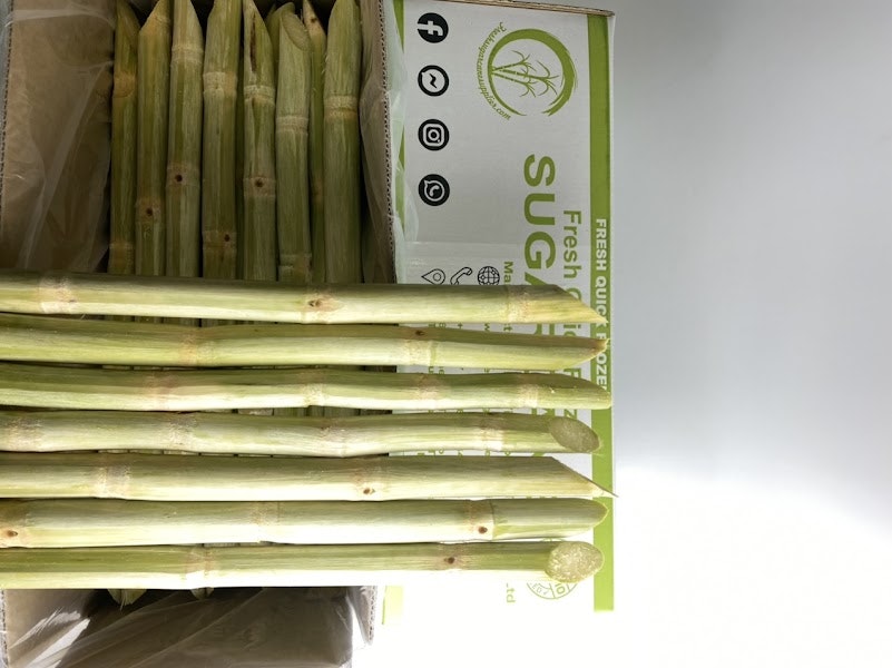 Frozen sugarcane sti... logo