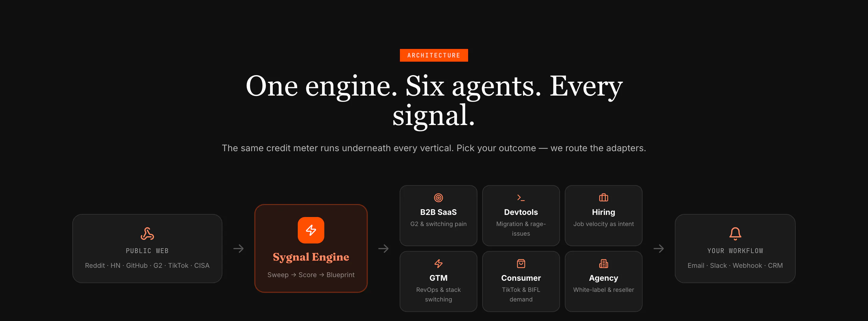 Sygnal gallery image
