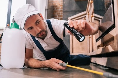 Услуги по борьбе с вредителями в Дубае медиа 2