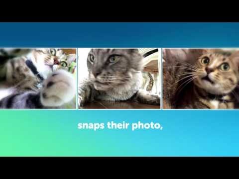 Candid Catmera gallery image