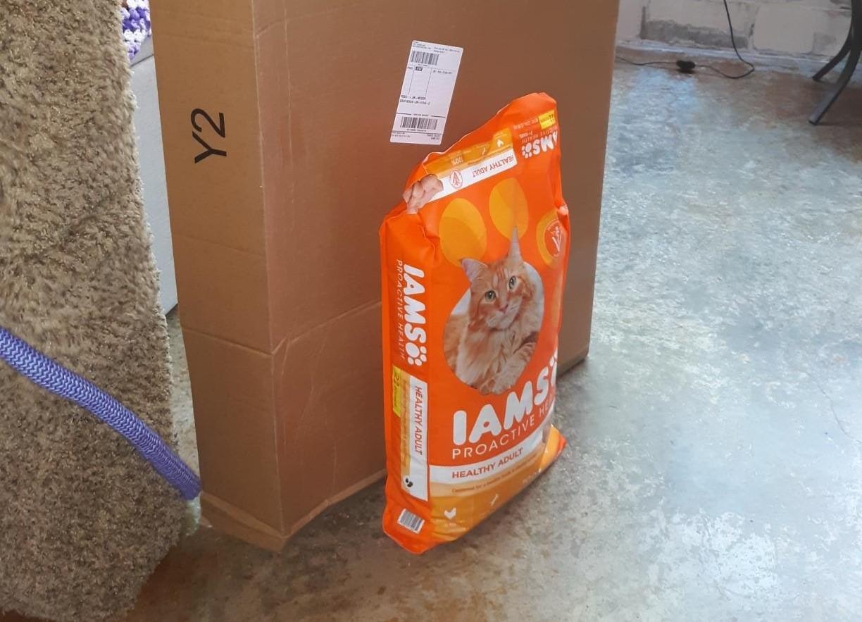 IAMS 고양이 음식 - IAMS 애완 동물 사료는 잘 알려진 애완 동물 사료 브랜드입니다. 미디어 1