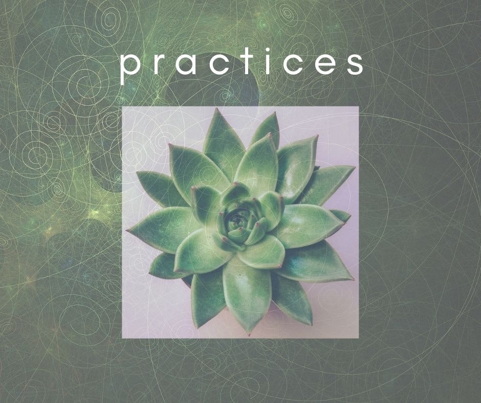 Exploring Intuition In Nature gallery image