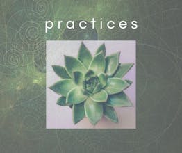 Exploring Intuition In Nature gallery image