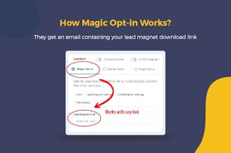 Magic opt-in for Email Marketing gallery image